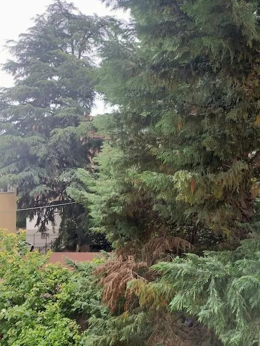 Finalmente Bologna House Διαμέρισμα